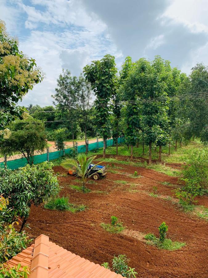הוילה העיר בנגלור Eco Farm מראה חיצוני תמונה
