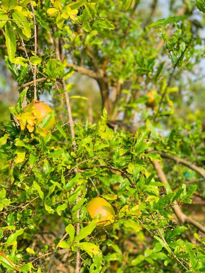 הוילה העיר בנגלור Eco Farm מראה חיצוני תמונה