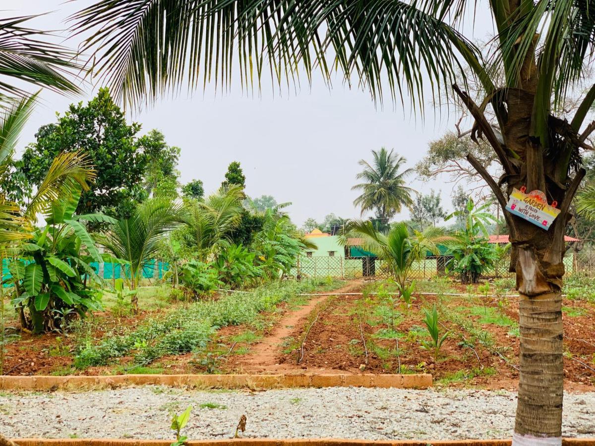 הוילה העיר בנגלור Eco Farm מראה חיצוני תמונה