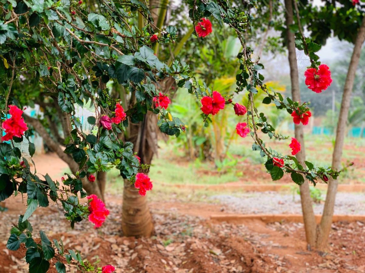 הוילה העיר בנגלור Eco Farm מראה חיצוני תמונה
