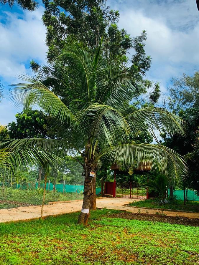 הוילה העיר בנגלור Eco Farm מראה חיצוני תמונה