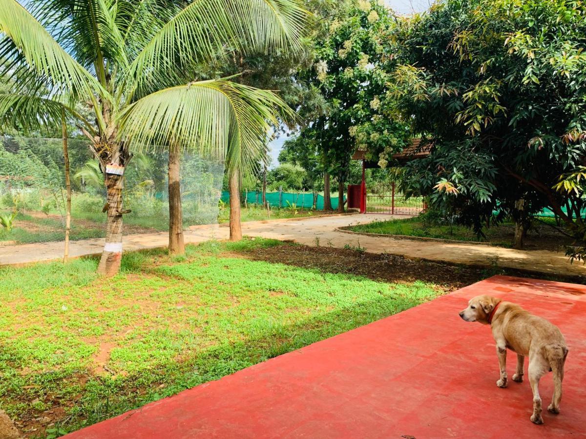 הוילה העיר בנגלור Eco Farm מראה חיצוני תמונה