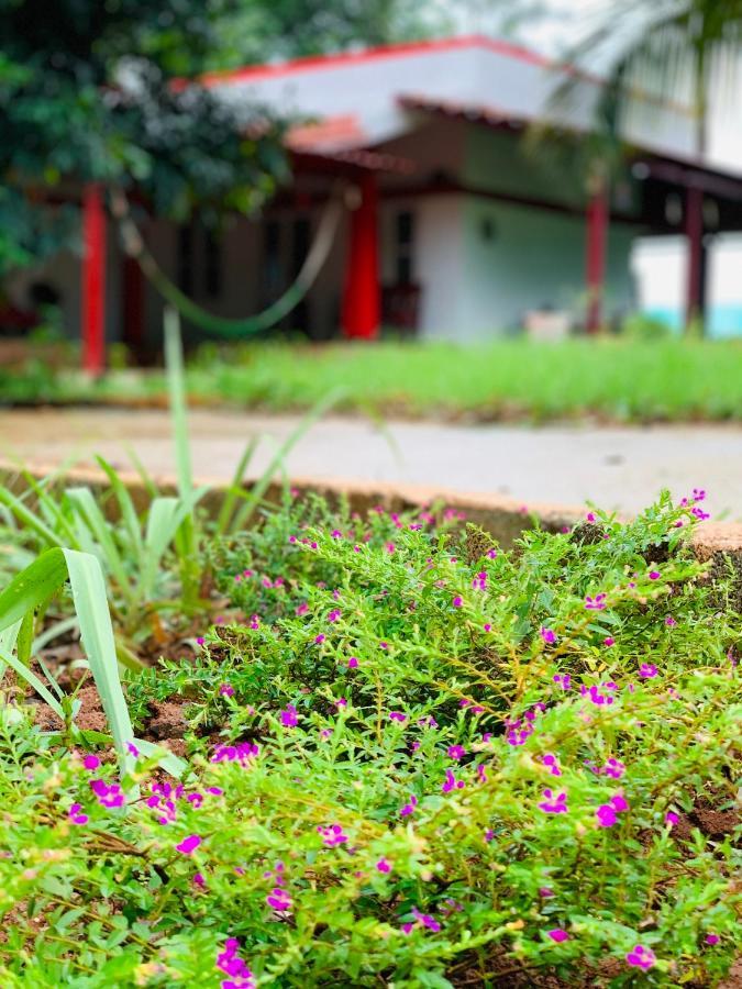 הוילה העיר בנגלור Eco Farm מראה חיצוני תמונה